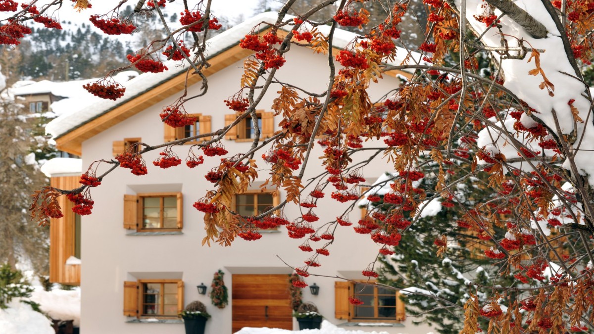Chalet Chesetta Chalet Chesetta