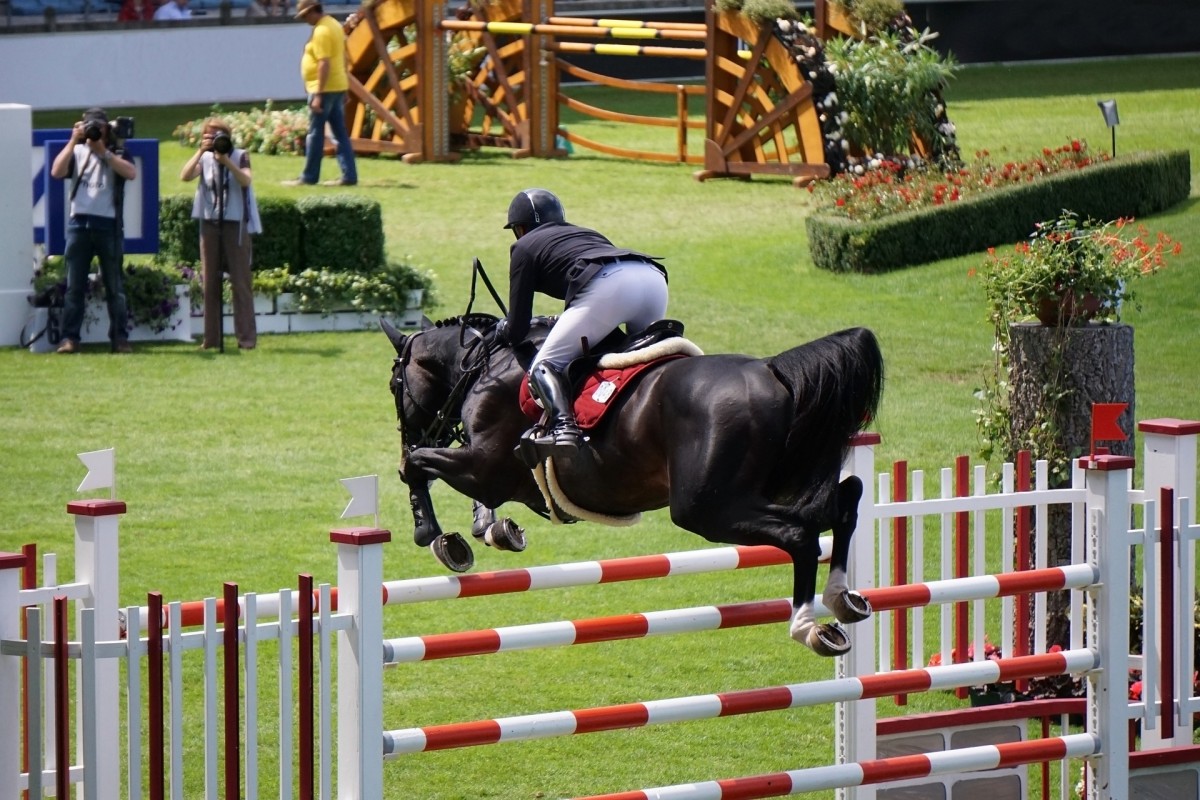 Horse Jumping Competition