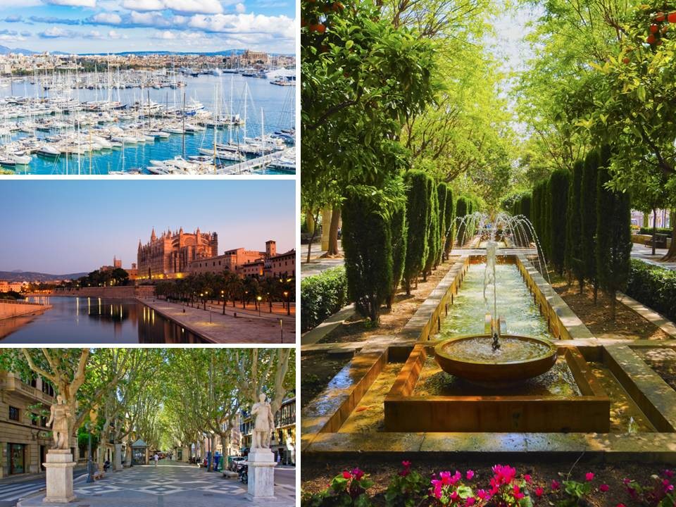 Palma de Mallorca: yachting harbour, cathedral La Seu and Parc de la Mar at dawn, Passeig Borne, gardens of Almudaina Palace