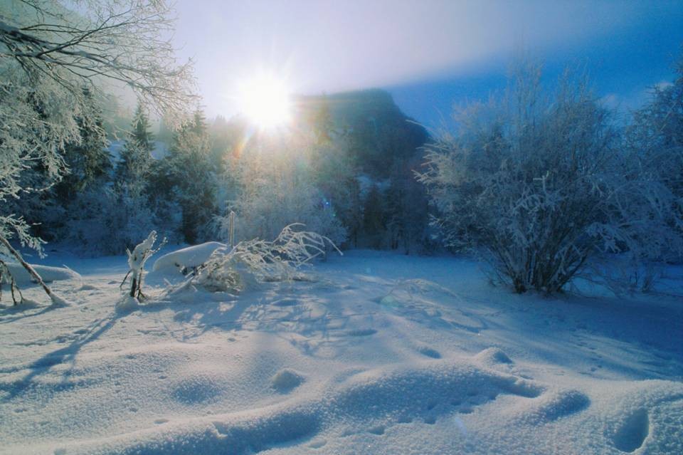 Winter wonderland – icy sunrise in the Gstaad area, Bernese Oberland